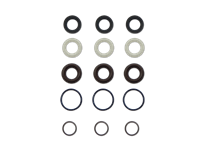 AR42556 AR North America Water Seal, RR Series 15M Kit