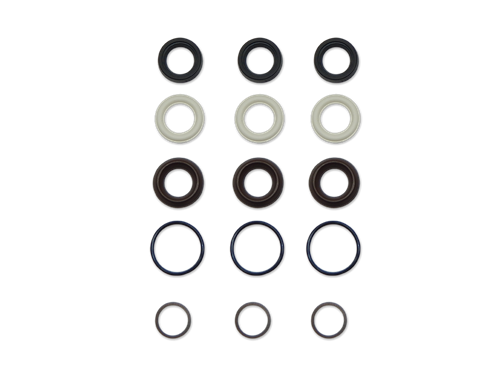 AR42556 AR North America Water Seal, RR Series 15M Kit
