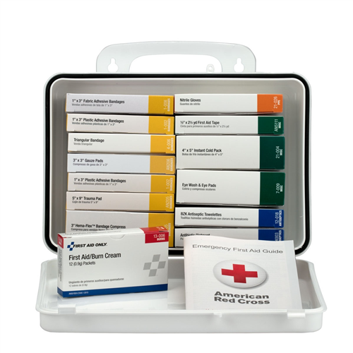 239-AN First Aid Only 16 Unit First Aid Kit Plastic Case