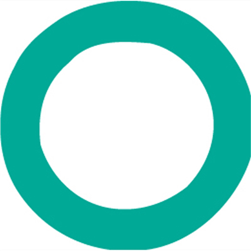 4006-1000 Fjc 1000Pk/O'Ring # 6