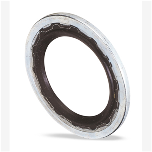 4066 Fjc Gm Sealing Washer