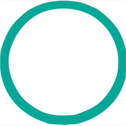 4082 Fjc O-Ring
