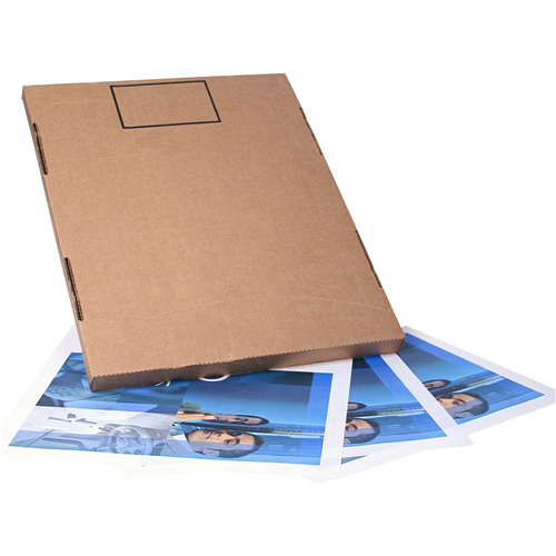 36901 3M 3M 17" X 22" Protective Floor Mat 250/Box