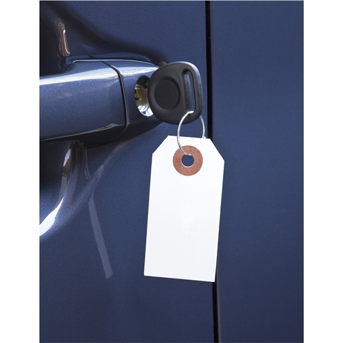 FB-P9833-13 Petoskey Plastics Paper Key Tag W/ Metal Ring 1000/Box